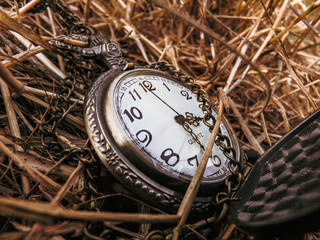 Vintage pocket watch in autumn grass
