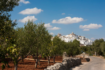 Landscape with blue sky and clouds: Ostuni, 