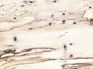 Spalted Tamarind Exotic Wood
