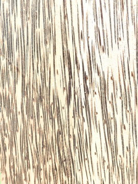 Black Palm Exotic Wood