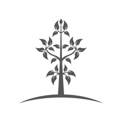 Abstract plant tree leaf