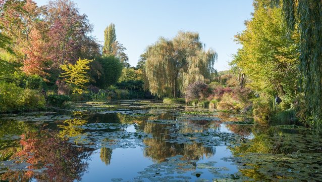 Monet’s garden during autumn season. 