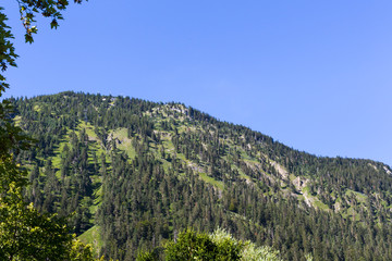 Obraz premium View on the mountain Herzogstand in Bavaria with a cable car on a sunny day in summer with blue sky