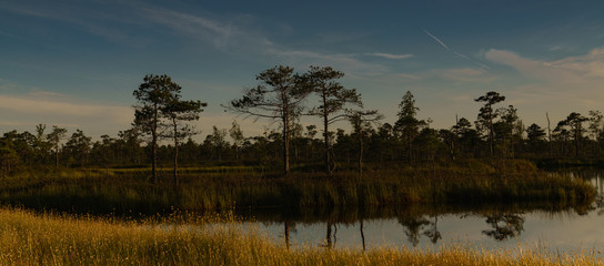Sunset over the swamp