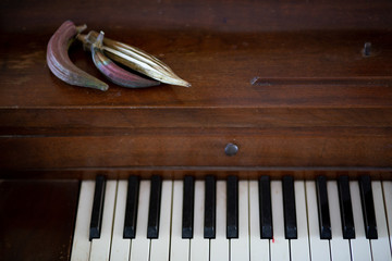 okra pods on piano