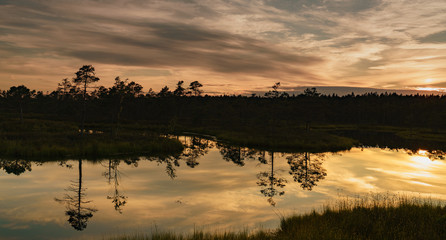 Plakat Sunset over the swamp