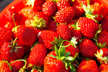 Freshly harvested Red Strawberries, Juicy Strawberries directly above