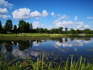 Plakat summer landscape with lake