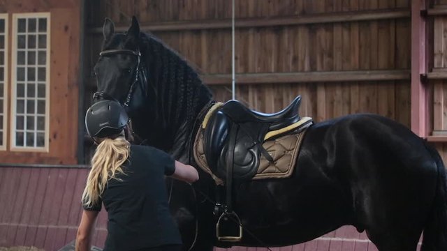 Young woman in Equestrian Gear prepares to mount saddle on horse inside arena