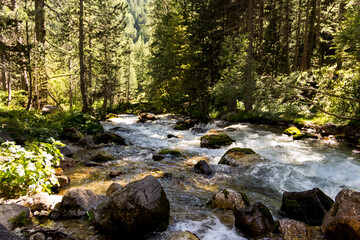 Obraz premium Ruscello