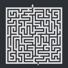 Maze success