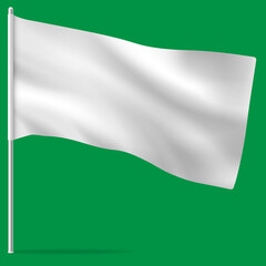 Waving blank flag on flagpole.