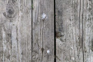 Fototapeta premium Grunge old background. Nature background. Gray background.