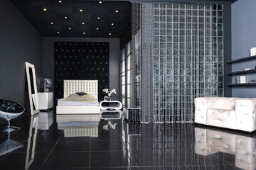Modern dark luxury black interior with white chic furniture