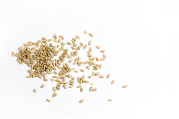 sunflower seeds 