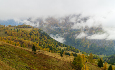 Beautiful, colorful autumn colors in the Alps