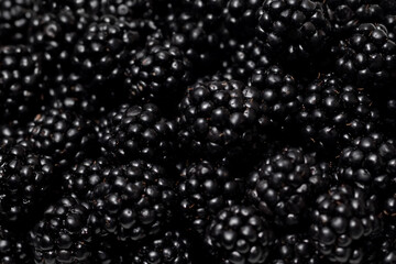 fresh handful of blackberries background closeup texture