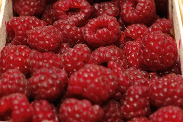 fresh handful of raspberries background closeup texture