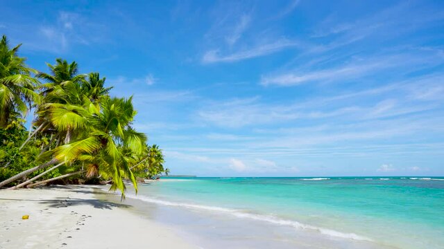 Most beautiful beaches in the world. Cuba beach background. Palm grove on the beach. Copy space, without people.
