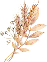 Watercolor illustration of ears of wheat with dill flower and yellow leaves. Fall concept. Thanksgiving harvest bouquet.