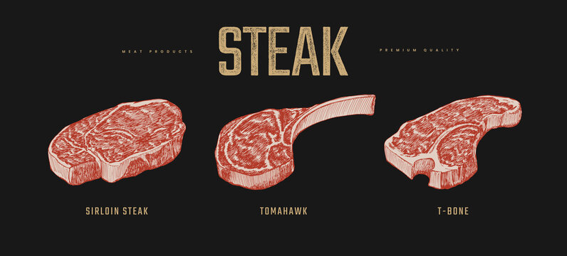 Set of slices steaks vector illustration. Sirloin, Tomahawk and T-bone meat steaks. Hand-drawn pieces of meat and beef tenderloin. Design elements of a butcher shop, farmers market, restaurant.