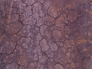 Terre d'ocre craquelée