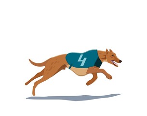 Greyhound Dog Race Racing Dogs. Vector illustration