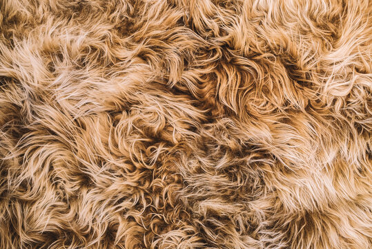 Background Texture of Wavy Soft Brown Animal Hair 