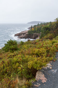 View, Park Loop Road, Acadia National Park, Maine