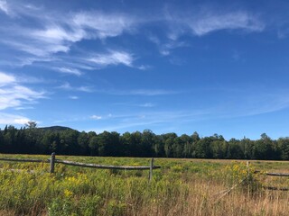 landscape with fence