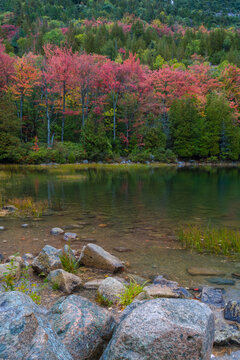 Autumn at Bubble Pond,  Acadia National Park, Maine