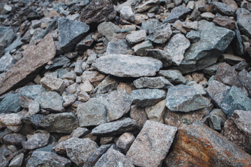 Close up of stones and rock with mosses and lichens. Arctic flora.