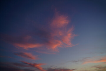 Atmospheric fantastic pink clouds in gradations of blue in the sunset sky