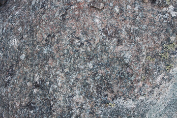 Textures of rock with mosses and lichens. Arctic flora.