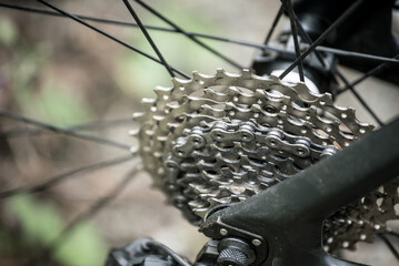 Fototapeta premium Eleven road bike wheel sprockets