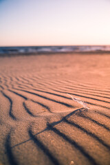 Feder im Sand