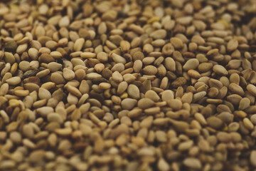 Macro close up of sesame seeds, Selective focus
