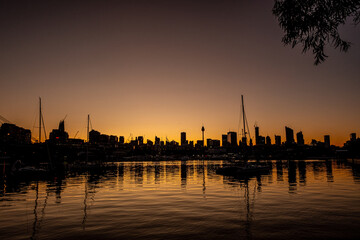 Sydney city dawn silhouette 