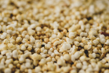 Macro Photography of Amaranth, selective focus