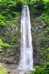 日本の滝