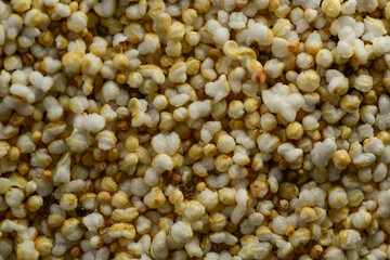 Macro Photography of Amaranth, selective focus