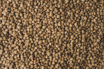 Many Raw Organic Lentils , Top view