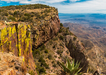 Agave On The South Rim And The Chisos Mountains Across The Chihuahuan Desert, Big Bend National Park, Texas, USA