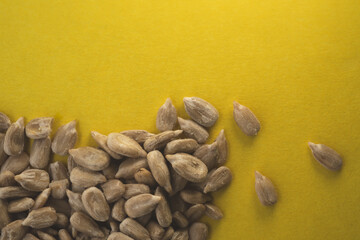 Sunflower seeds macro portrait with yellow background