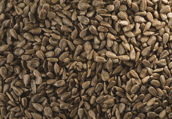 Many Sunflower seeds, Top View Macro Photograph