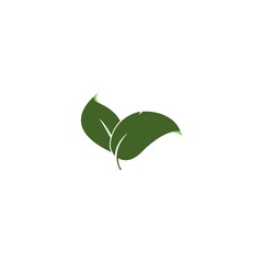 Fototapeta na wymiar leaf icon
