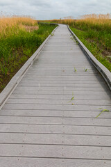 Obraz premium Boardwalk Leading Through The Wetlands Walkway On The Creole Nature Trail, Sabine National Wildlife Refuge, Louisiana, USA