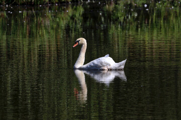 Shubenacadie Provincial Wildlife Park, Nova Scotia