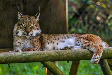 Shubenacadie Provincial Wildlife Park, Nova Scotia