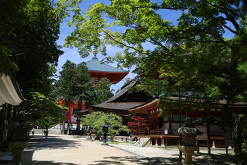 高野山